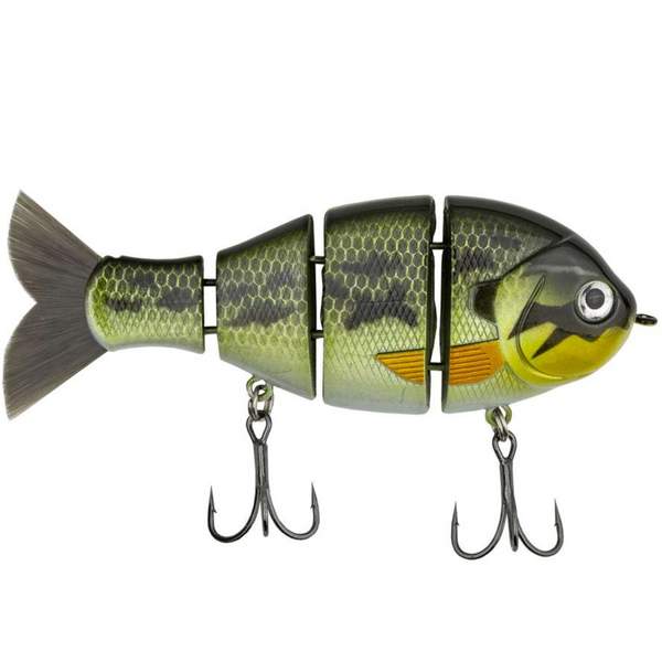 Mike Bucca Baby Bull Gill