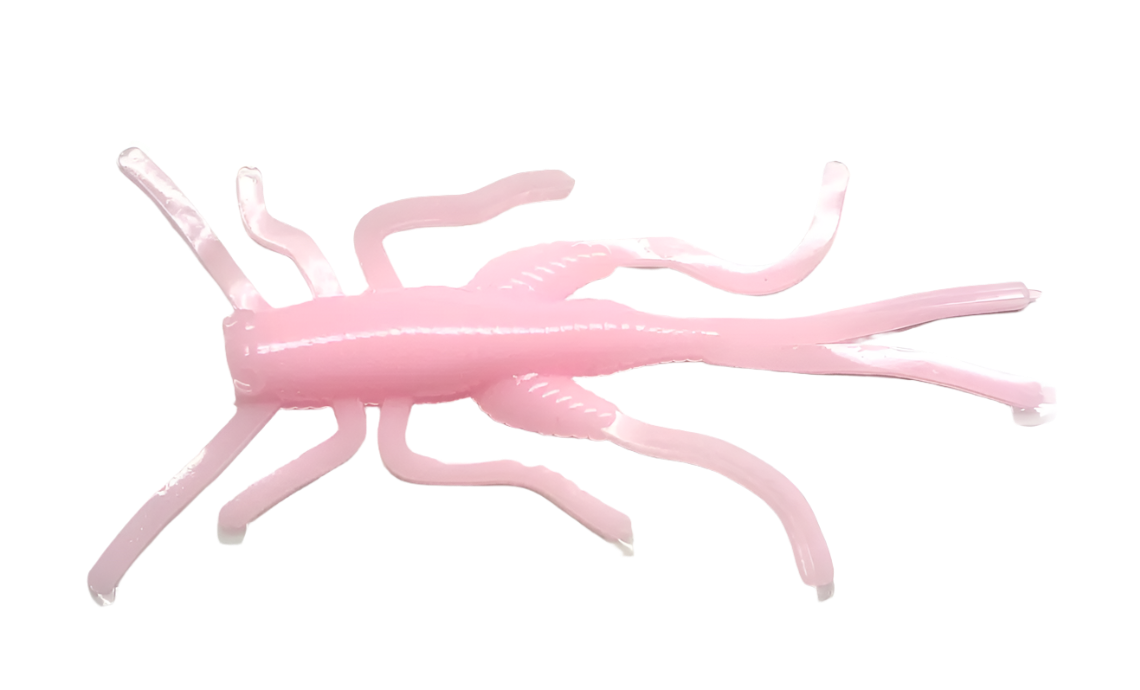 Appalachian Baits Mountain Cricketz