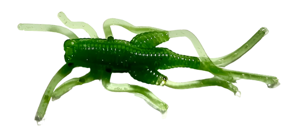 Appalachian Baits Mountain Cricketz