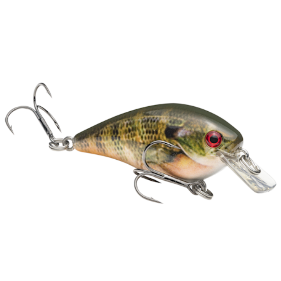 Strike King KVD Square 1.0