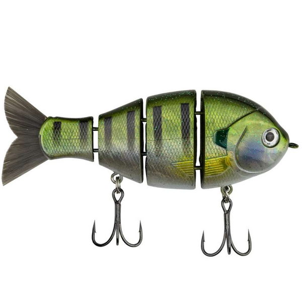 Mike Bucca Baby Bull Gill