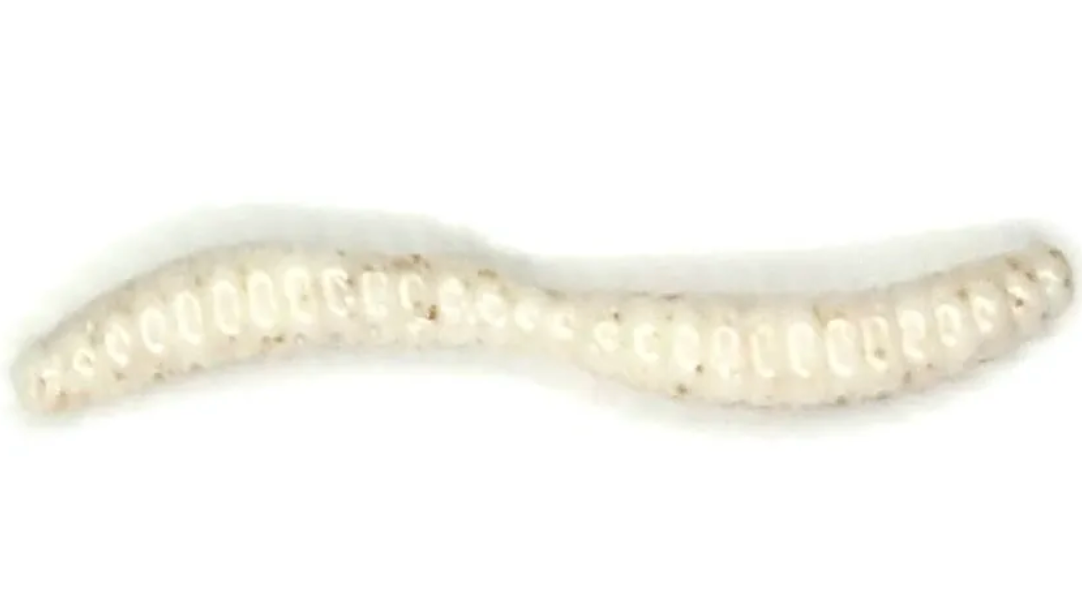 Appalachian Baits Mountin Grubz