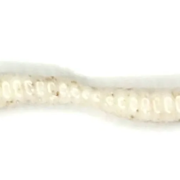 Appalachian Baits Mountin Grubz