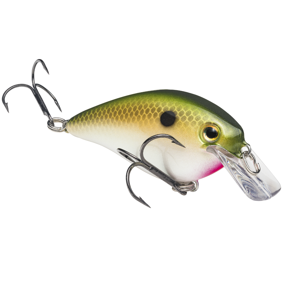 Strike King KVD 1.5 Squarebill