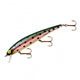  Rainbow Trout 2