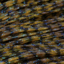  Living Image Green Craw - 454