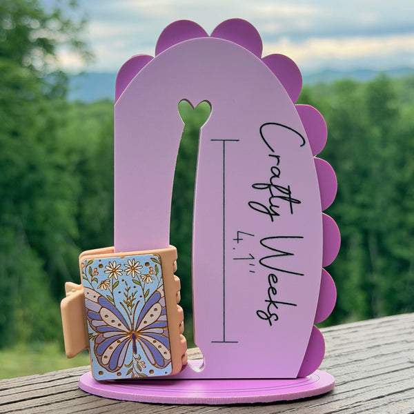 Butterfly Daisies 2” Hair Clip