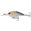  4K Shad