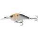  4K Shad