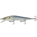  4K Shad