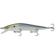  4K Shad