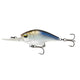  4K Shad