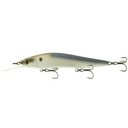  4K Shad