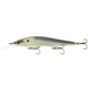  4K Shad