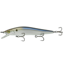  4K Shad