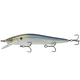  4K Shad