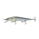  4K Shad