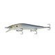  4K Shad