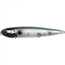  Abalone Shad