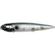  Abalone Shad
