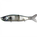  Abalone Shad