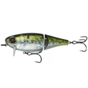  American Shad