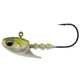 American Shad