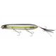  American Shad