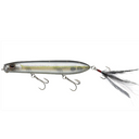  American Shad