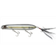  American Shad
