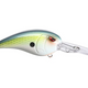  Ayu Shad