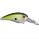  Ayu Shad