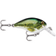  Baby Bass