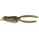  Baby Bullfrog
