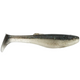 Bait Fish