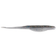  Bait Fish