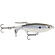  Black Back Shad
