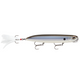  Black Back Shad