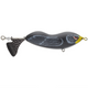  Black Duck