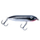  Black Shiner
