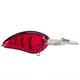 Blood Craw