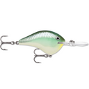  Blue Back Herring