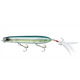  Blue Back Herring