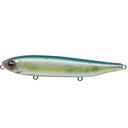  Blue Back Herring