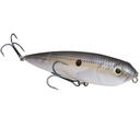  Blue Gizzard