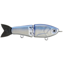 Blue Gizzard