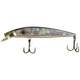  Blue Pearl Shad