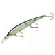  Blue Shiner