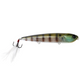  Blue Gill