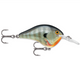  Bluegill